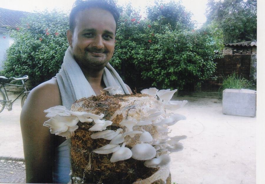 A trainee holding a fresh oyster mushroom harvest