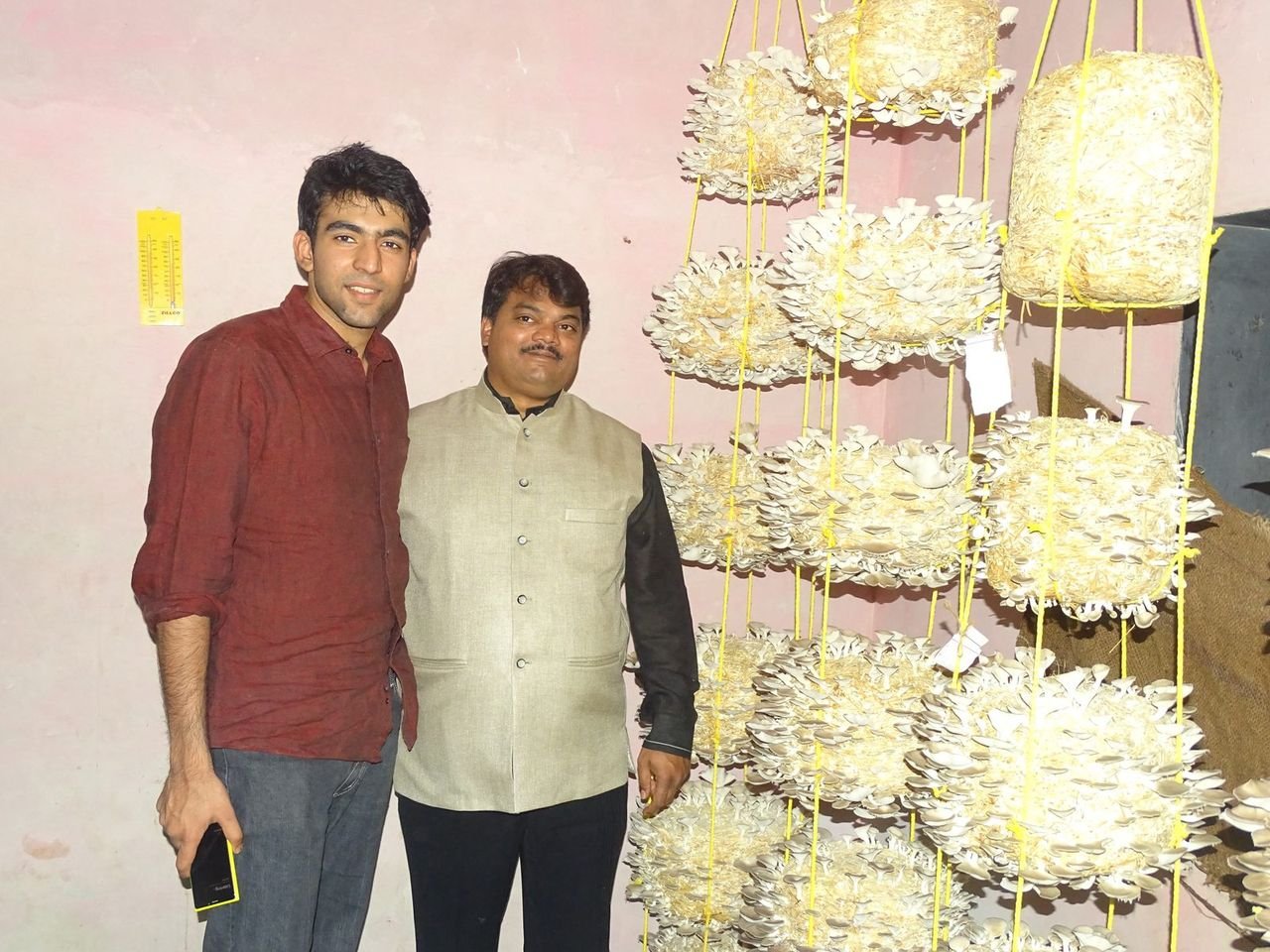 Guests touring a Mahagro India oyster mushroom rack setup