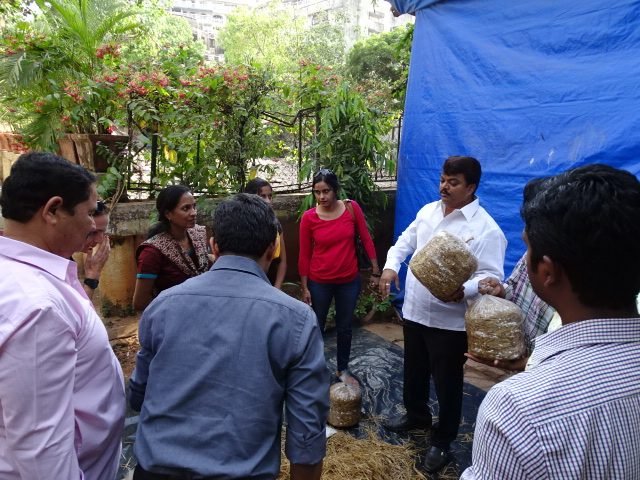 Mahagro India trainees during a hands-on cultivation demo